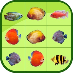 库博体育app